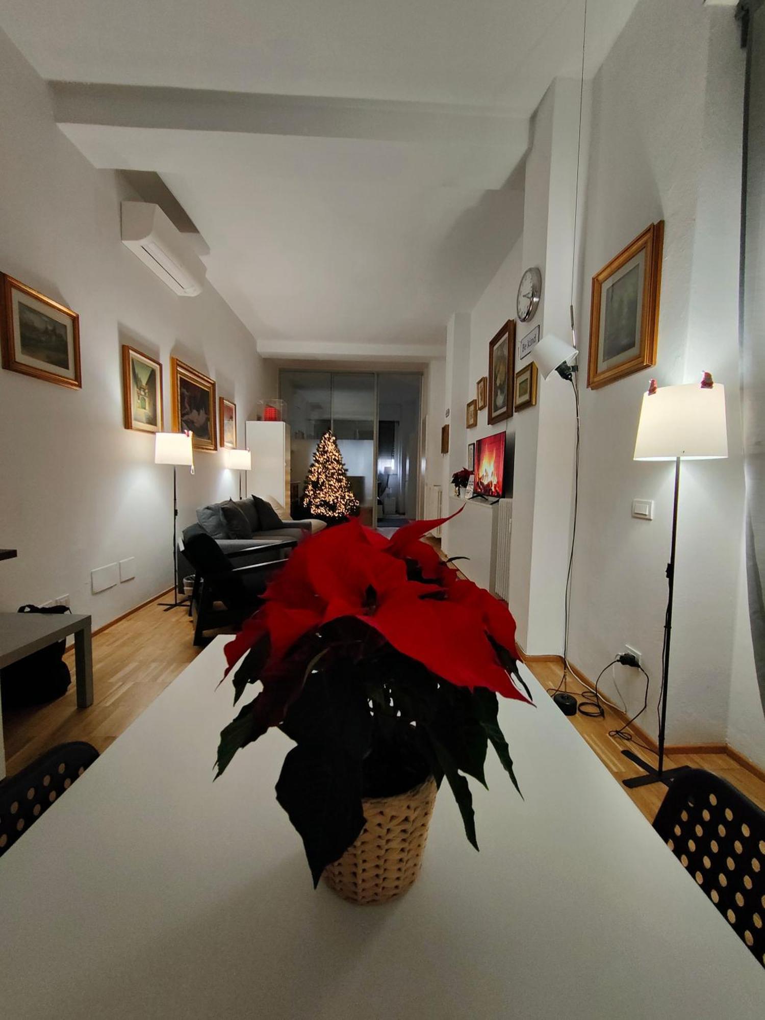 Short Rent Milan Porta Romana — Photos 3